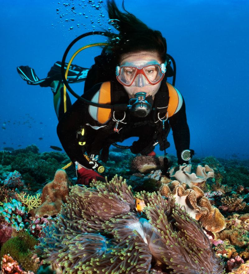 scuba-diving-ibrokers.jpg