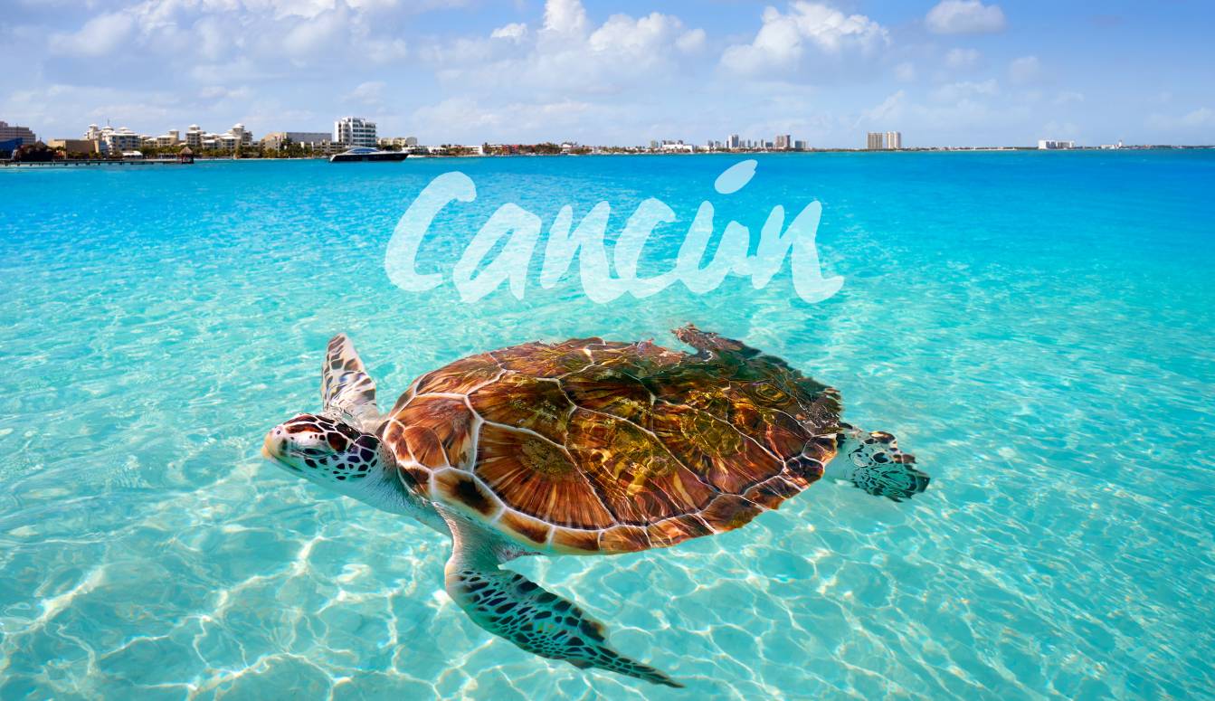 best-places-to-live-in-cancun-ibrokers