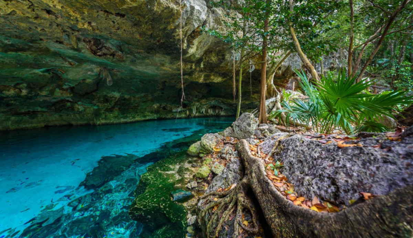 top-5-cenotes-en-tulum