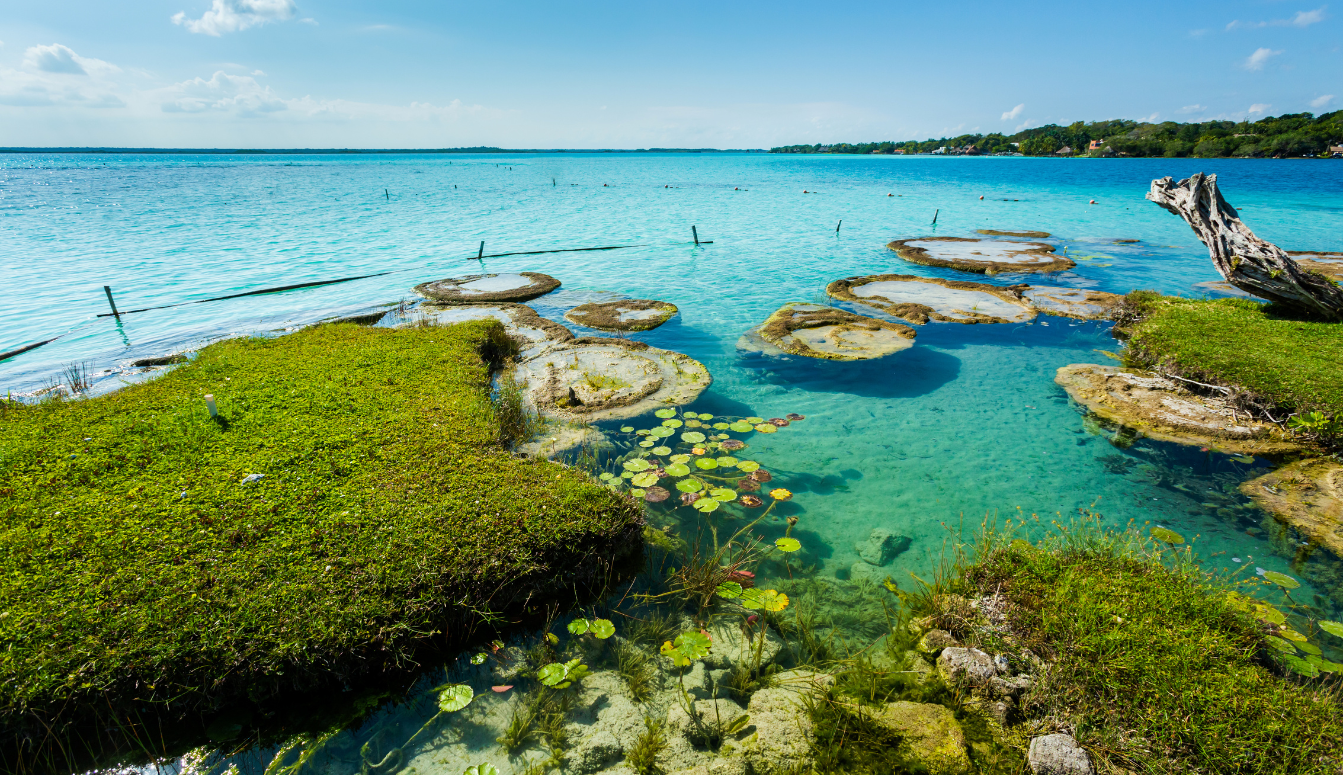 bacalar