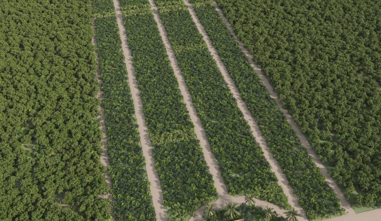 Vista Aérea General