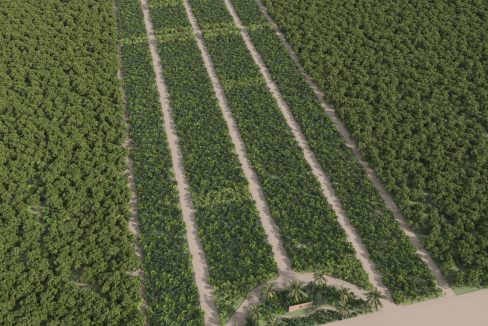 Vista Aérea General