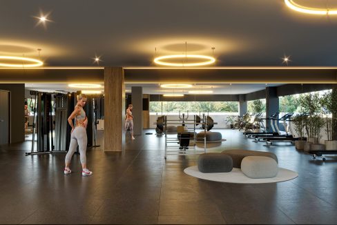Gym 2