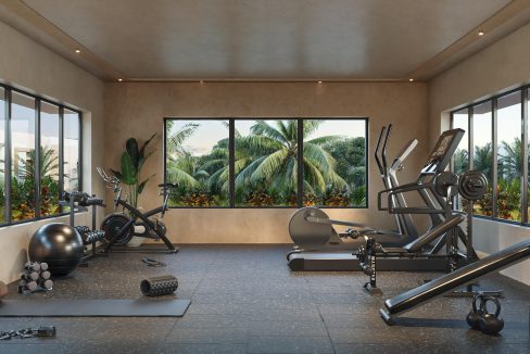 HABITA_GYM