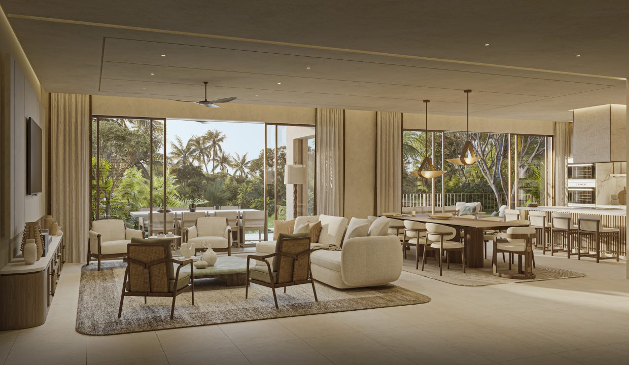 Living Room - Dining - Kitchen