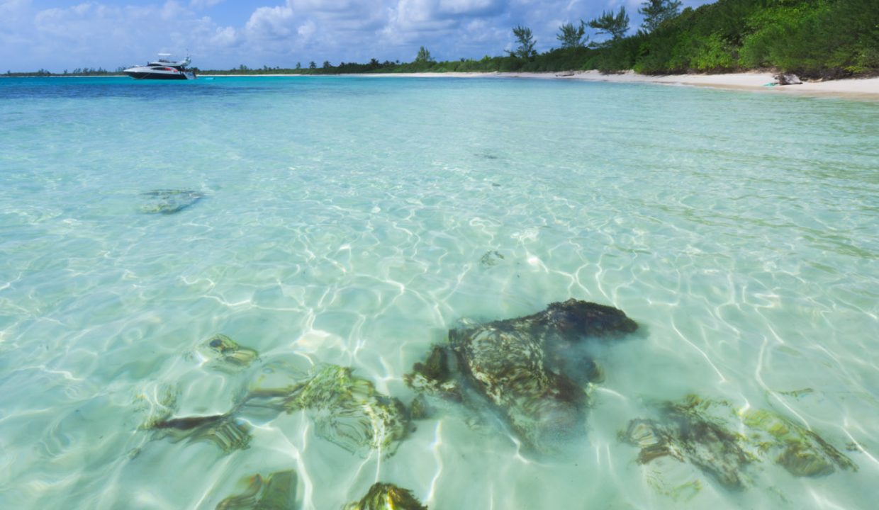 TheRitzCarltonRivieraMaya-InTheOcean