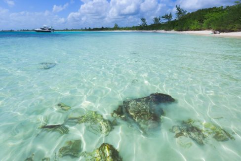 TheRitzCarltonRivieraMaya-InTheOcean