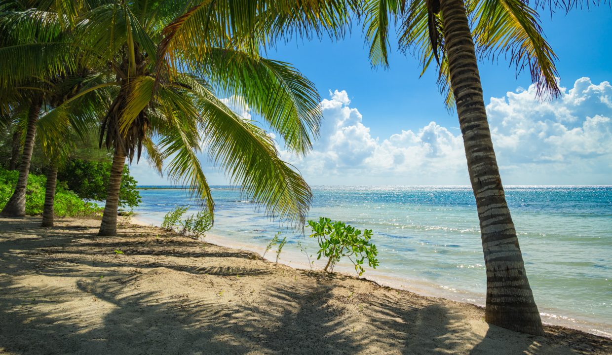 TheRitzCarltonRivieraMaya-TheShoresofPuntaVenado