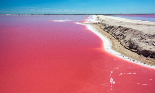 espectaculo-rosado-ibrokers-las-coloradas.jpg